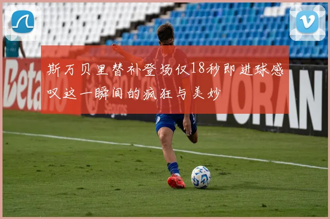 斯万贝里替补登场仅18秒即进球感叹这一瞬间的疯狂与美妙
